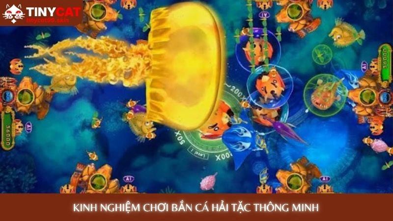 Bắn cá Hải Tặc - Khám phá đại dương, săn kho báu khủng 4 Kinh nghiệm chơi bắn cá hải tặc thông minh