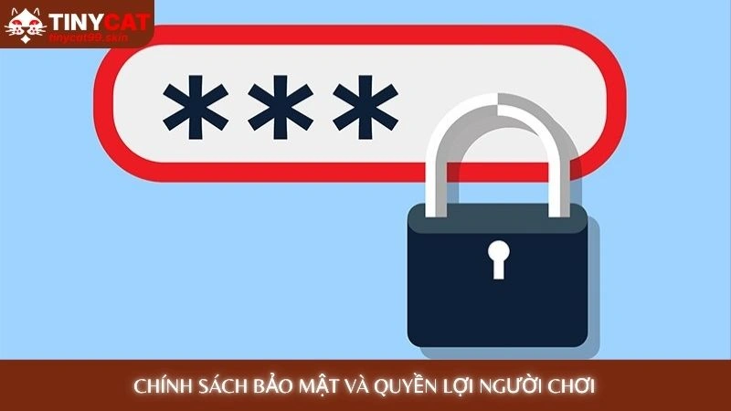Chính sách bảo mật và quyền lợi người chơi