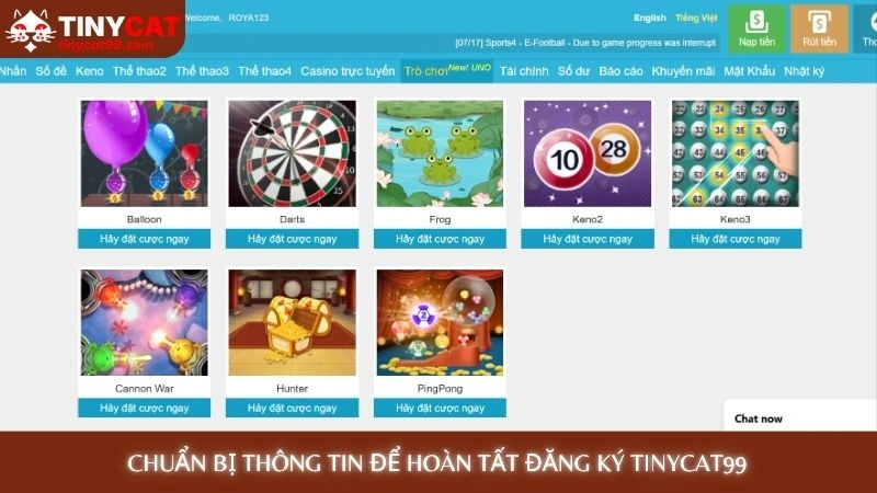 Chuẩn bị thông tin để hoàn tất đăng ký Tinycat99