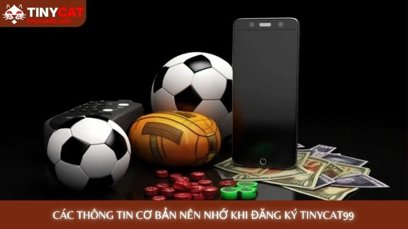 Các thông tin cơ bản nên nhớ khi đăng ký Tinycat99