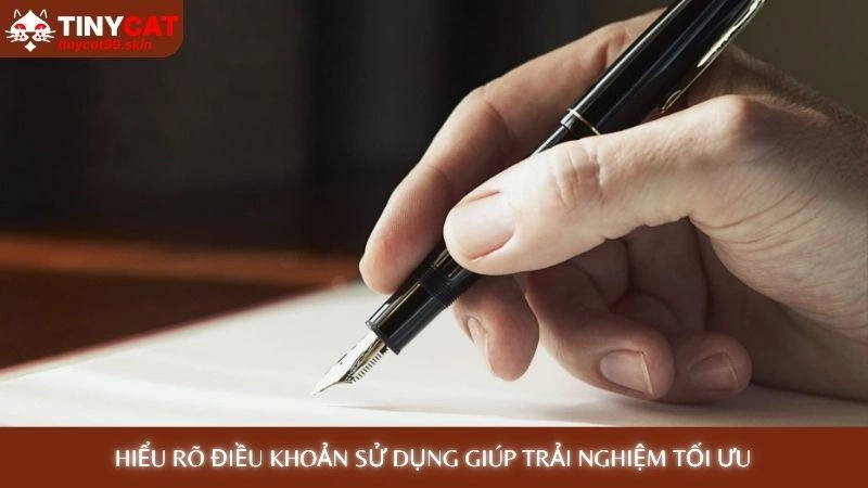 Điều khoản sử dụng - Quyền lợi người chơi tại Tinycat99 1 Hiểu rõ điều khoản sử dụng giúp trải nghiệm tối ưu