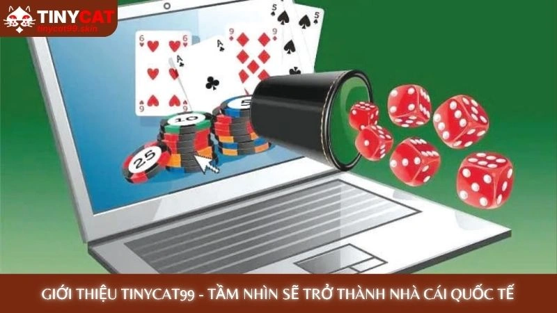 Giới thiệu Tinycat99 - Tầm nhìn sẽ trở thành nhà cái quốc tế