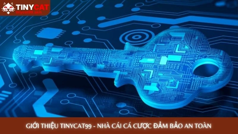 Giới thiệu Tinycat99 - Nhà cái cá cược đảm bảo an toàn