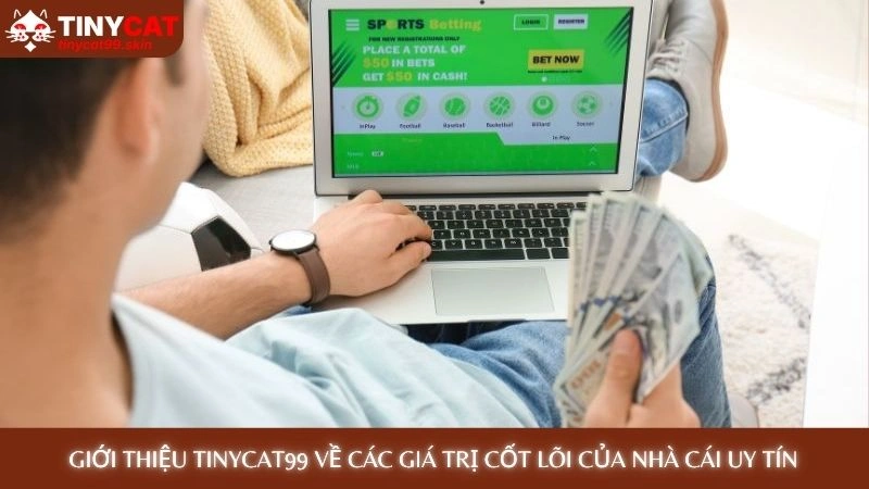 Giới thiệu Tinycat99 về các giá trị cốt lõi của nhà cái uy tín