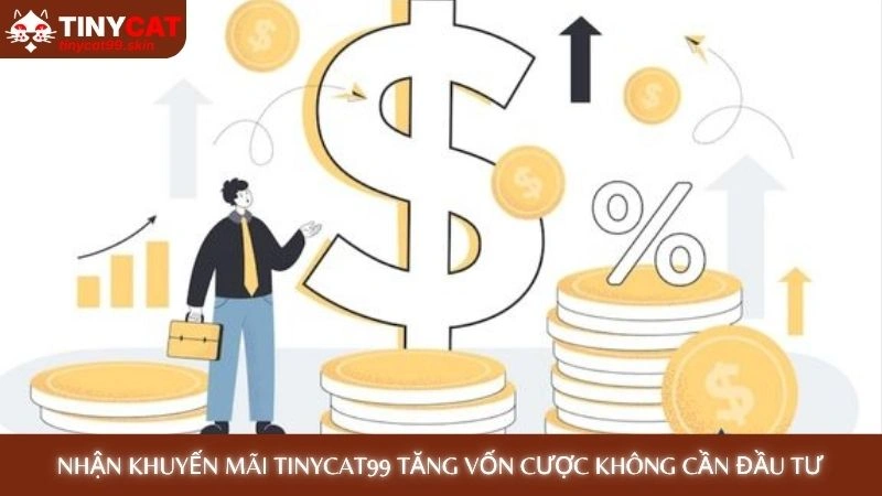 Nhận Khuyến mãi Tinycat99 tăng vốn cược không cần đầu tư