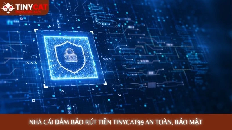 Nhà cái đảm bảo Rút tiền Tinycat99 an toàn, bảo mật