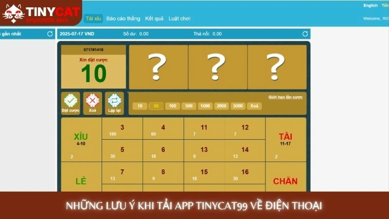 Tải app Tinycat99 - Chơi game mượt mà, không lo bị chặn 3 Những lưu ý khi Tải app Tinycat99 về điện thoại