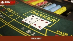 Baccarat Tinycat99