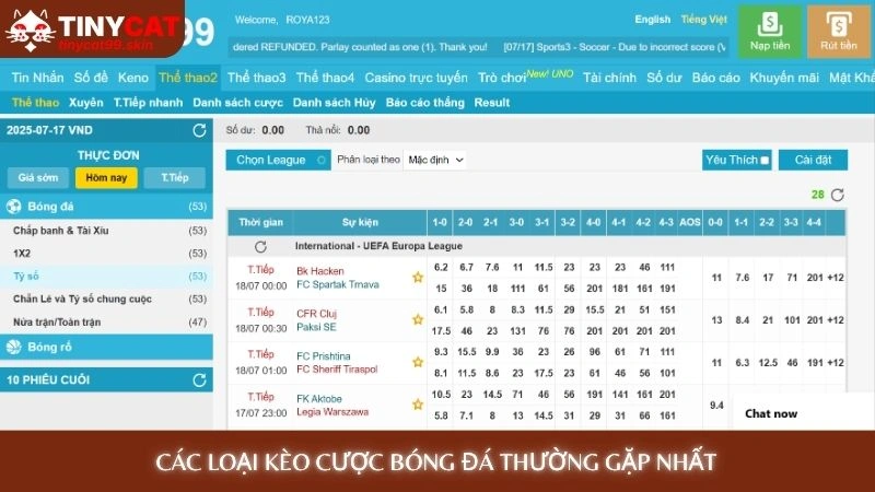 Cá cược bóng đá - Mẹo cược từ chuyên gia, tăng 80% tỷ lệ thắng 3 Các loại kèo cược bóng đá thường gặp nhất