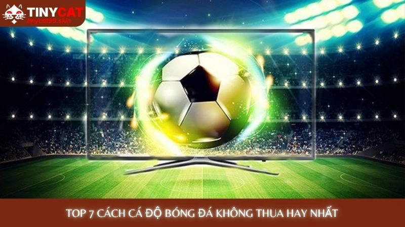 Cách cá độ bóng đá không thua: 7 bí mật từ cao thủ Tinycat99 3 TOP 7 cách cá độ bóng đá không thua hay nhất