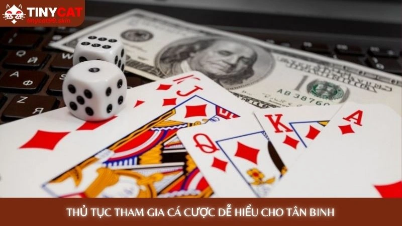 Thủ tục tham gia cá cược dễ hiểu cho tân binh