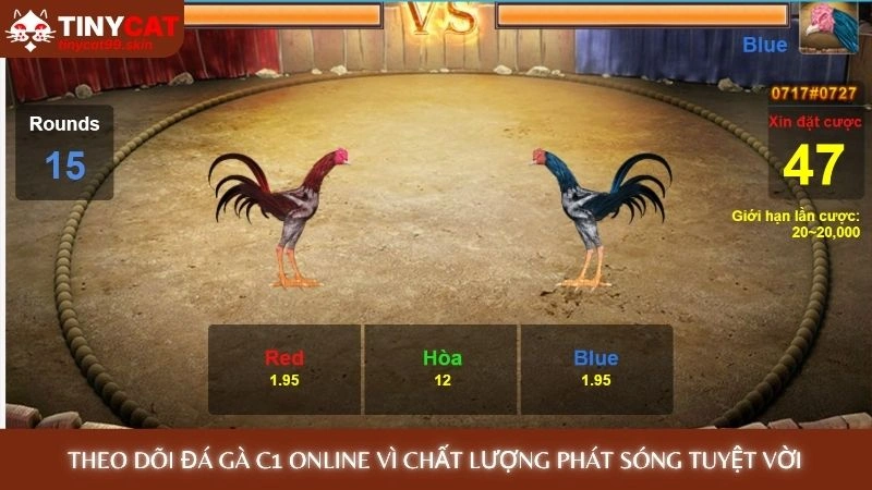 Đá gà C1 Tinycat99 - Tổng hợp những trận derby kinh điển nhất 2 Theo dõi đá gà C1 online vì chất lượng phát sóng tuyệt vời