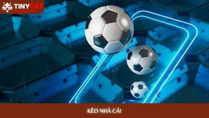 Kèo nhà cái Tinycat99 - Cập nhật tỷ lệ kèo nhanh nhất 1 Kèo nhà cái Tinycat99