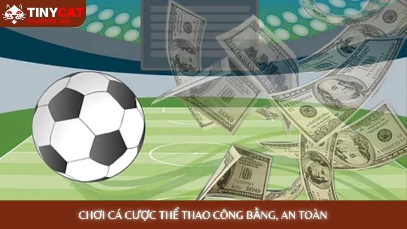 Kèo nhà cái Tinycat99 - Cập nhật tỷ lệ kèo nhanh nhất 4 Chơi cá cược thể thao công bằng, an toàn