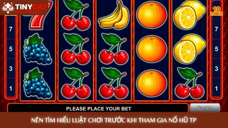 Nổ hũ TP - Trải nghiệm game mới, cơ hội X5 hũ mỗi ngày 3 Nên tìm hiểu luật chơi trước khi tham gia nổ hũ TP