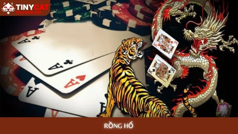 Rồng Hổ Online - Chiến thuật đặt cược bất bại tại Tinycat99 1 Rồng Hổ tinycat99