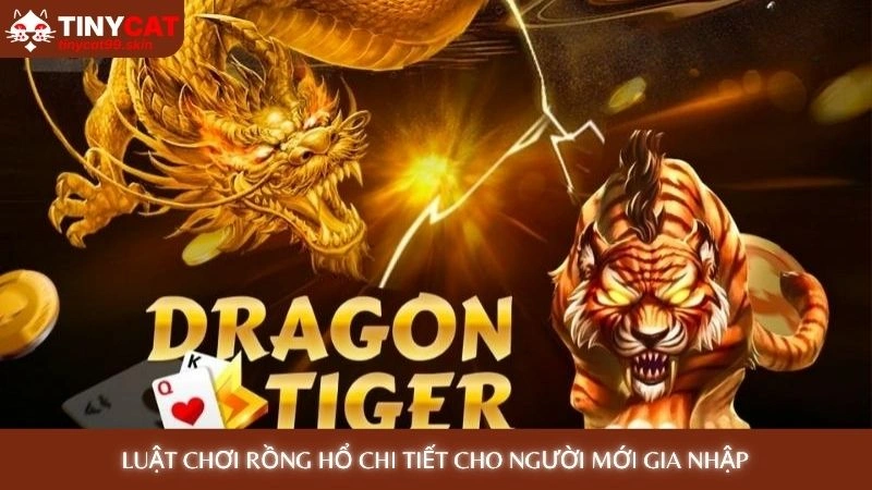 Rồng Hổ Online - Chiến thuật đặt cược bất bại tại Tinycat99 3 Luật chơi rồng hổ chi tiết cho người mới gia nhập