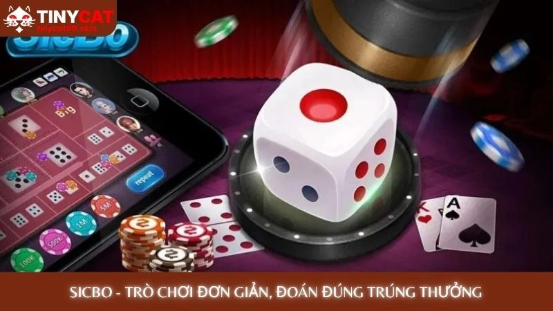 Sicbo - Trò chơi đơn giản, đoán đúng trúng thưởng