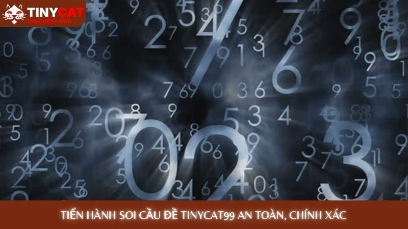 Tiến hành soi cầu đề Tinycat99 an toàn, chính xác