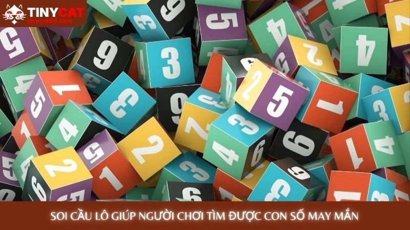Soi cầu lô giúp người chơi tìm được con số may mắn