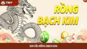 Soi cầu Rồng Bạch Kim