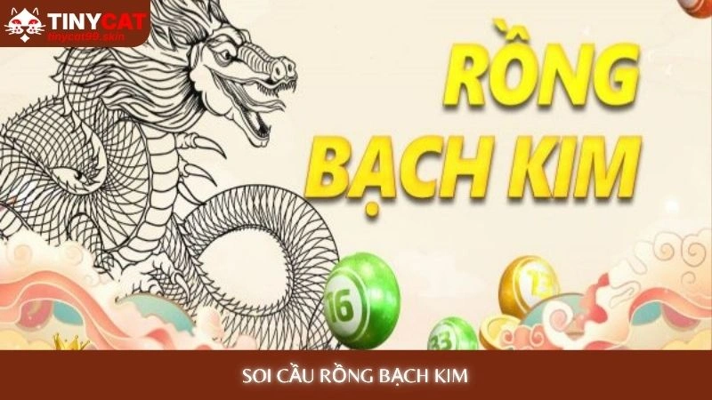 Soi cầu Rồng Bạch Kim - Dự đoán chính xác 99% hôm nay 1 Soi cầu Rồng Bạch Kim