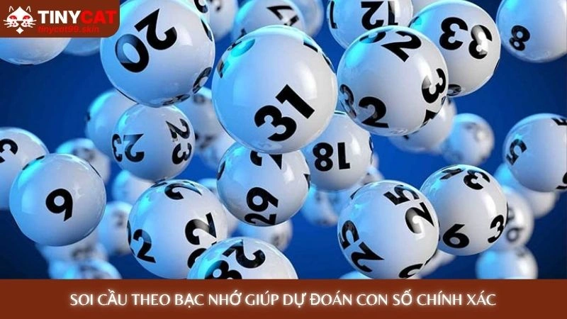 Soi cầu Rồng Bạch Kim - Dự đoán chính xác 99% hôm nay 3 Soi cầu theo bạc nhớ giúp dự đoán con số chính xác