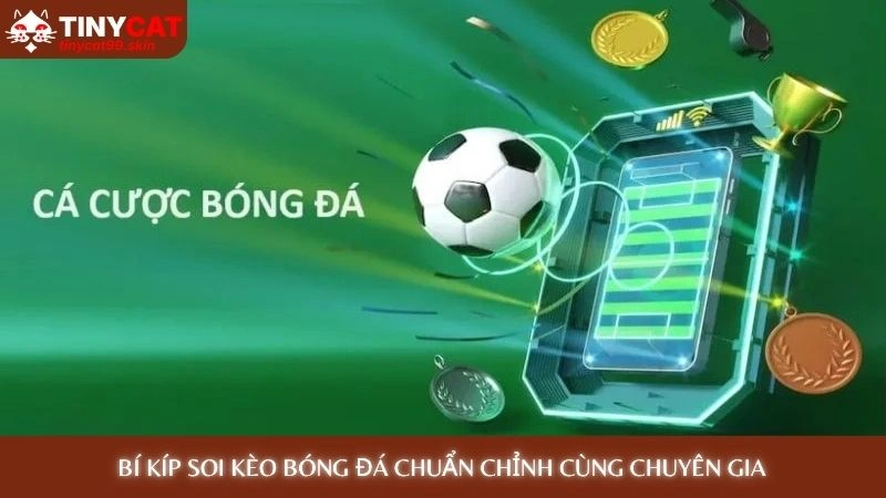 Bí kíp soi kèo bóng đá chuẩn chỉnh cùng chuyên gia