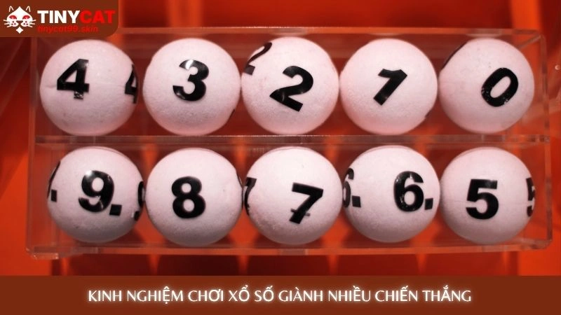 Kinh nghiệm chơi xổ số giành nhiều chiến thắng