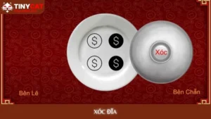 Xóc đĩa tinycat99