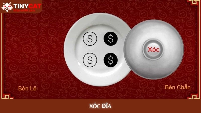 Xóc đĩa đổi thưởng - Bí quyết nghe vị, bắt cầu chuẩn xác 1 Xóc đĩa tinycat99