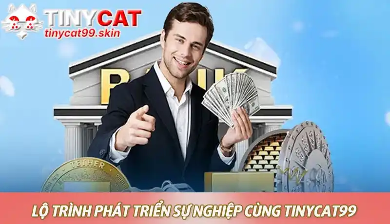 Lộ trình phát triển sự nghiệp cùng chương trình Đại lý Tinycat99