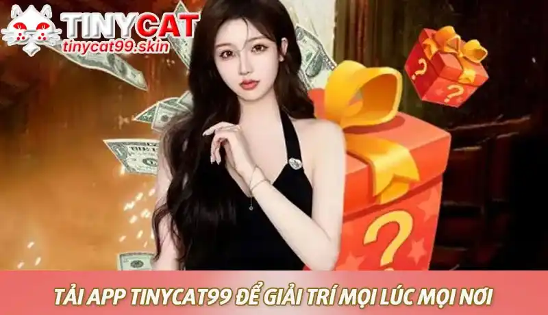Tải app Tinycat99 để giải trí mọi lúc mọi nơi 