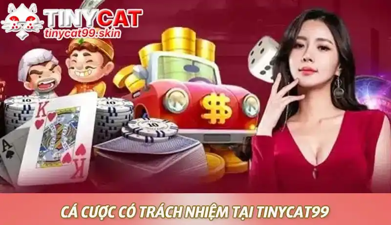 Tinycat99 luôn đề cao tinh thần chơi có trách nhiệm 