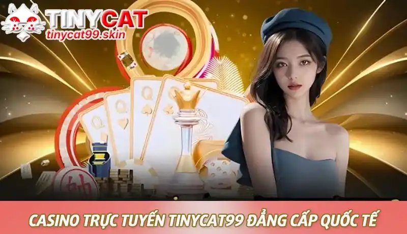 Trải nghiệm casino trực tuyến Tinycat99 đẳng cấp quốc tế 