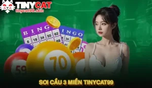 Soi cầu 3 miền Tinycat99 - Bí kíp chinh phục con số vàng 2025