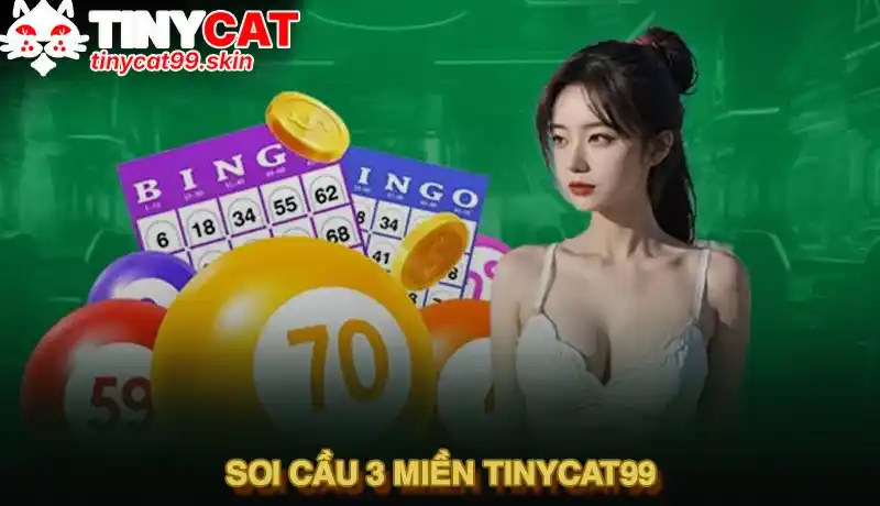 Soi cầu 3 miền Tinycat99 - Bí kíp chinh phục con số vàng 2025