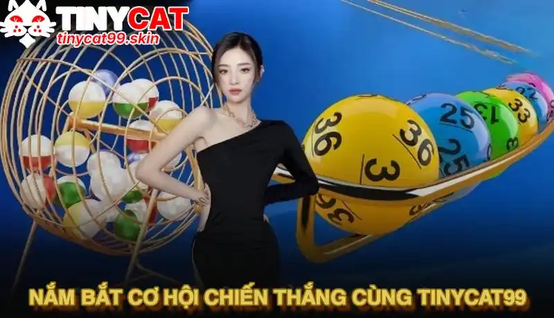 Nắm bắt cơ hội chiến thắng cùng Tinycat99